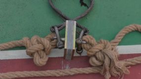 7.6噸！見證龍馬瓷磚膠+瓷磚背膠，雙膠合璧的實力！